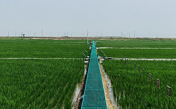 廣州凈化車間裝修：凈化車間改造工程的風險控制